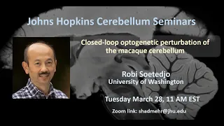 Robi Soetedjo: Closed-loop optogenetic perturbation of the macaque cerebellum