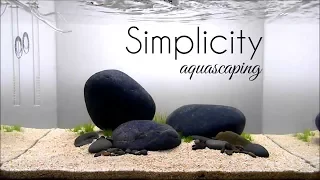 Aquascaping GAME OF RIVER STONE (SIMPLICITY)