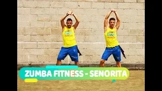 ZUMBA FITNESS - Señorita - Shawn Mendes, Kamila Kabelo