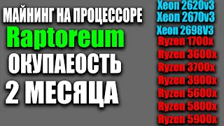 Майнинг Raptoreum RTM на процессоре Окупаемость 2 месяца! Какая окупаемость процессоре Ryzen xeon