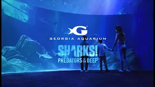 Run to the Sharks at Georgia Aquarium