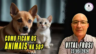 VITAL FROSI - OS ANIMAIS TAMBÉM EVOLUEM - 22/05/2024