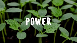 The Power of Growing Your Own Food – Garden Gift 18