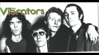 Vibrators - In Concert (04.05.78)