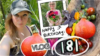 The Pumpkin Harvest!! + Rain, Seedlings and Mum's Birthday! Ep 181 || Plot 37