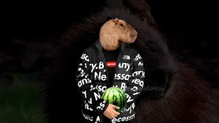 Capybara - After Party Pull Up (Full Version 1080p)