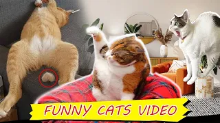 Funniest Animals 2023 😻 Best Funny Cats and Dogs Videos 😍🐶 Part 1