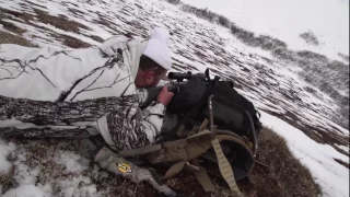 Alaska Snow Grizzly Hunt