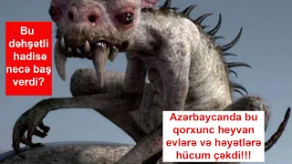 Sirli Aləm: Azərbaycanda bu qorxunc heyvan evlərə və həyətlərə hücum çəkdi!!!