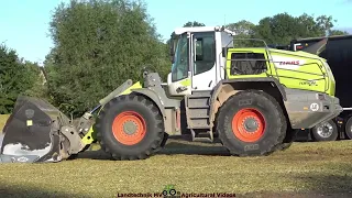 Claas - Fendt - Prinoth - ++ / Maissilage - Silaging Maize  TB