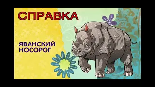 Super Звери & ко Макси. Реакция на Зверушки на опушке.