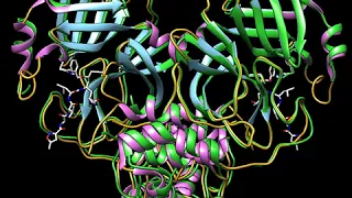 Structural similarity of the COVID-19 main protease and the SARS Coronavirus Main Protease