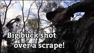 Mid October Buck Down!!! PA Archery 2022 - Ridge Raised Outdoors
