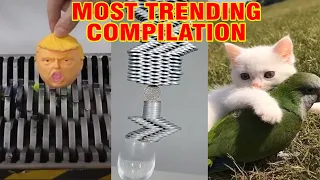 TikTok Trending Video Compilation 2020 #56 | Tiktok Most Viral Videos