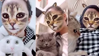 Cats' Hilarious Reaction When They See Cat Filter On Owners' Faces