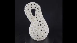 Klein Bottle 3D Print