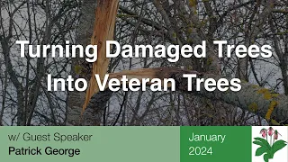 Turning Damaged Trees Into Veteran Trees - Southern Piedmont Chapter - January 2024