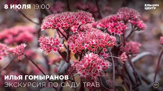 Илья Гомыранов – о секретах обитателей Сада трав