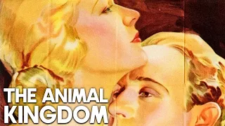 The Animal Kingdom | Film-Noir | Classic Romance Movie | 30s Movie | English