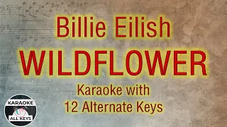 Billie Eilish - WILDFLOWER Karaoke Instrumental Lower Higher Male & Original Key