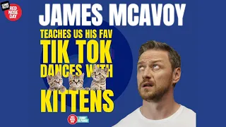 James McAvoy teaches us TikTok dances with kittens