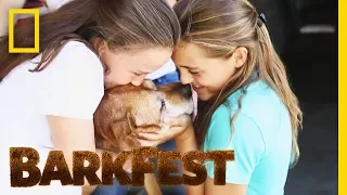 The Love of Dogs Has No Age Limit | BarkFest