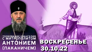 Толкование Евангелия с митр. Антонием (Паканичем). Воскресенье, 30 октября 2022 года