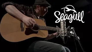 Seagull S6 Acoustic Guitar | Demonstration