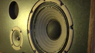 Speakers - Magnetism & Sound