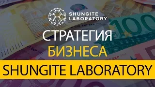 Маркетинг, стратегия бизнеса, работа в Кейсах холдинга Shungite Laboratory.