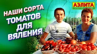 ТОМАТЫ ДЛЯ ВЯЛЕНИЯ! Обзор наших сортов.