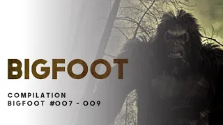 31 ENCOUNTERS WITH BIGFOOT - What Lurks Above