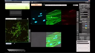 An introduction to confocal microscopy with the OLYMPUS FV10i