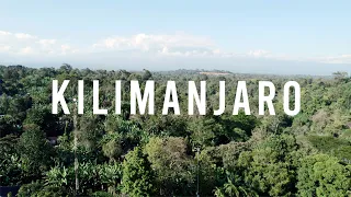 CLIMBING MOUNT KILIMANJARO | Africa's Tallest Mountain (Part 1)