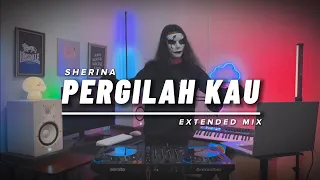 DISCO HUNTER - Pergilah Kau (Extended Mix)