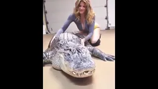 sexy girl messaging a crocodile