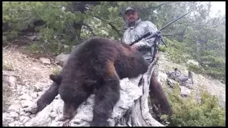 Spring Bear Hunting in Montana - Jeff Hunt - MossBack
