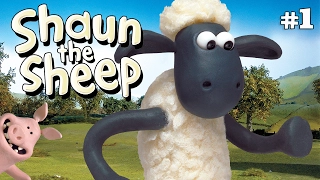 Off the Baa x3 Episodes | Season 1 DVD Collection | Shaun the Sheep