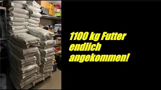 Koi Consult Koitalk #564 Futter für dieses Jahr angekommen!