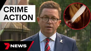 New laws to crack down on a youth crime wave in Melbourne | 7 News Australia