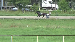 Приз Министерства сельского хозяйства НСО, 1й гит, 06 08 2017