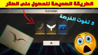 شاهد الطريقة الصحيحة للحصول علي طائر الفالكو 🔥 سارعو اليوم فقط!