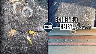 Deep Cleaning a Girl's HAIRY Car! | The Detail Geek
