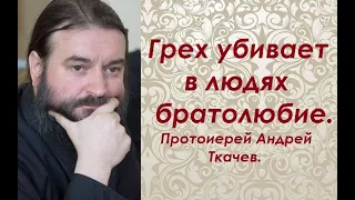 О братских войнах. Протоиерей Андрей Ткачев.
