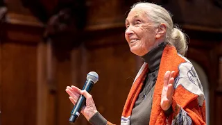 Jane Goodall: Inspiring Hope Through Action | Washington University