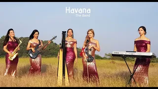 Dhadak | Instrumental Cover | Havana |