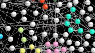 Fly Paper: Mapping the Protein Interactions of Our Distant Relative