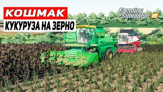 КУКУРУЗА НА ЗЕРНО | Карта Кошмак | Farming Simulator 19