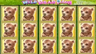 ★★JACKPOT HANDPAY★★$250 BETS★★WILD BEAR PAWS HIGH LIMIT SLOT MACHINE BUENO DINERO MUSEUM SLOTS IGT