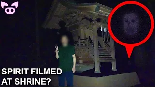 Scary Videos That Will Frighten You Now!